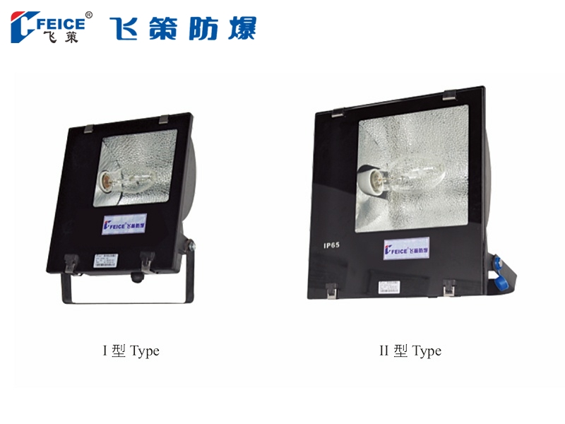 防水防尘防腐投光(泛光)灯SFD65-系列