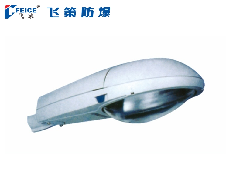 防水防尘防腐路灯SFD66-系列