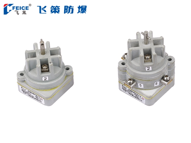 防爆控制开关8008/2-系列