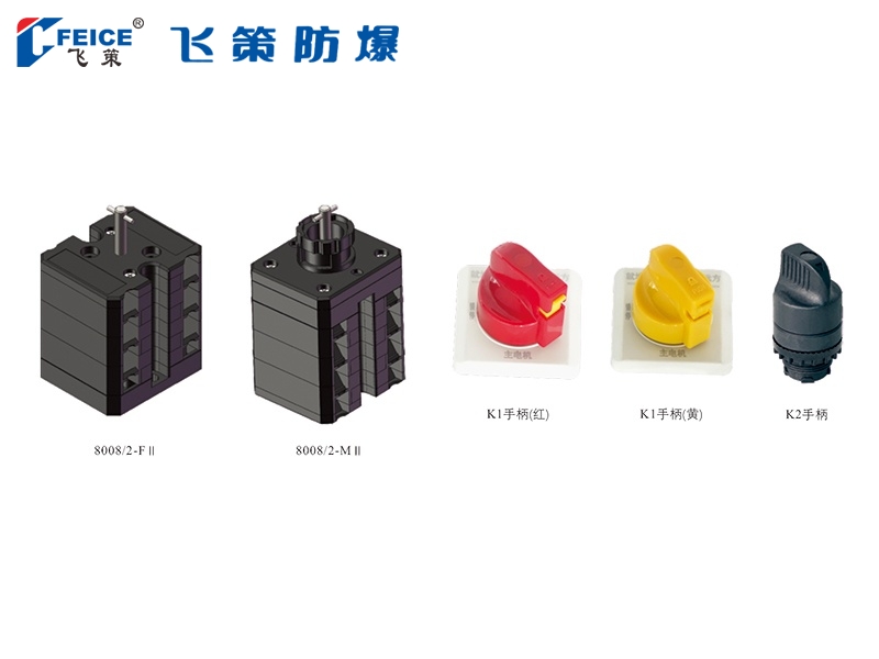 防爆控制开关(Ⅱ型)8008/2-系列